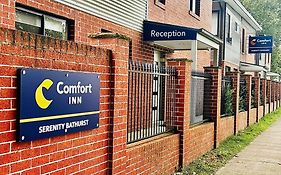 Comfort Inn Serenity Bathurst